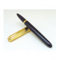 Parker 51 Premium Plum GT Fountain Pen 18K