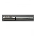 Astoria Silver Goliath Dragon Fountain Pen